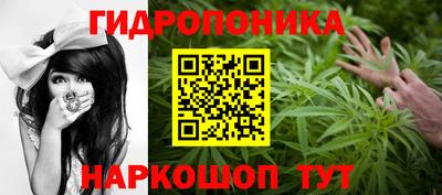 ешки Будённовск