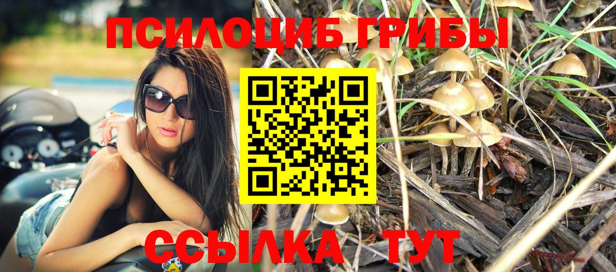 Псилоцибиновые грибы мухоморы Тында