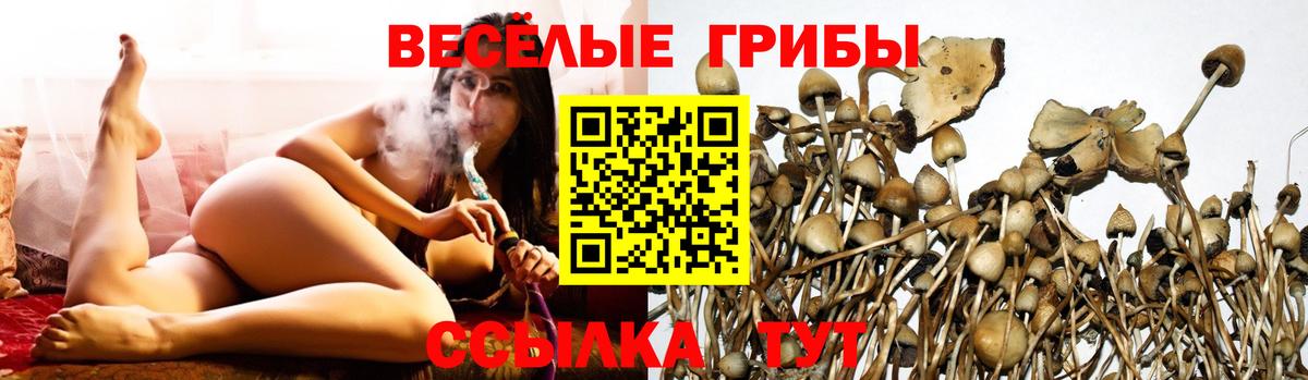 Тында  Галлюциногенные грибы Psilocybine cubensis  Галлюциногенные грибы GOLDEN TEACHER  Вход с VPN 